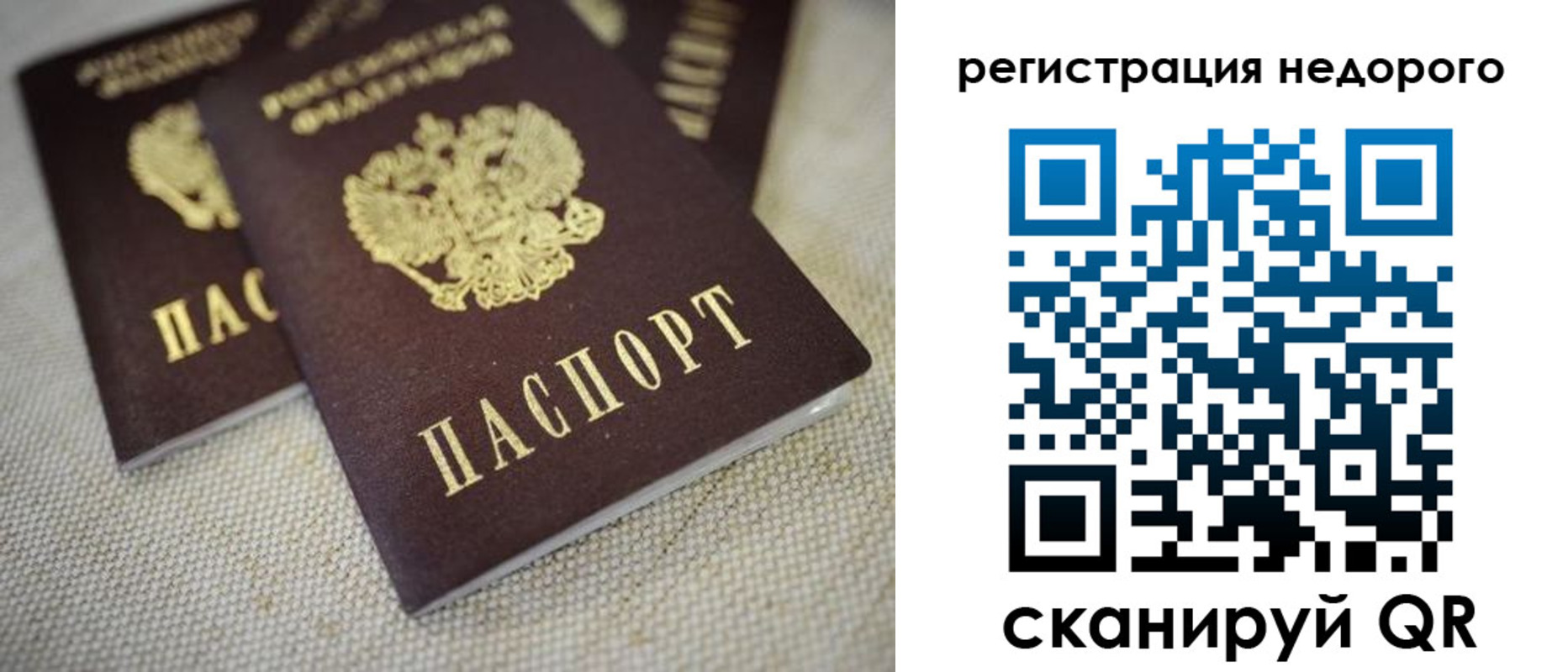 временная регистрация гарантия в Щиграх